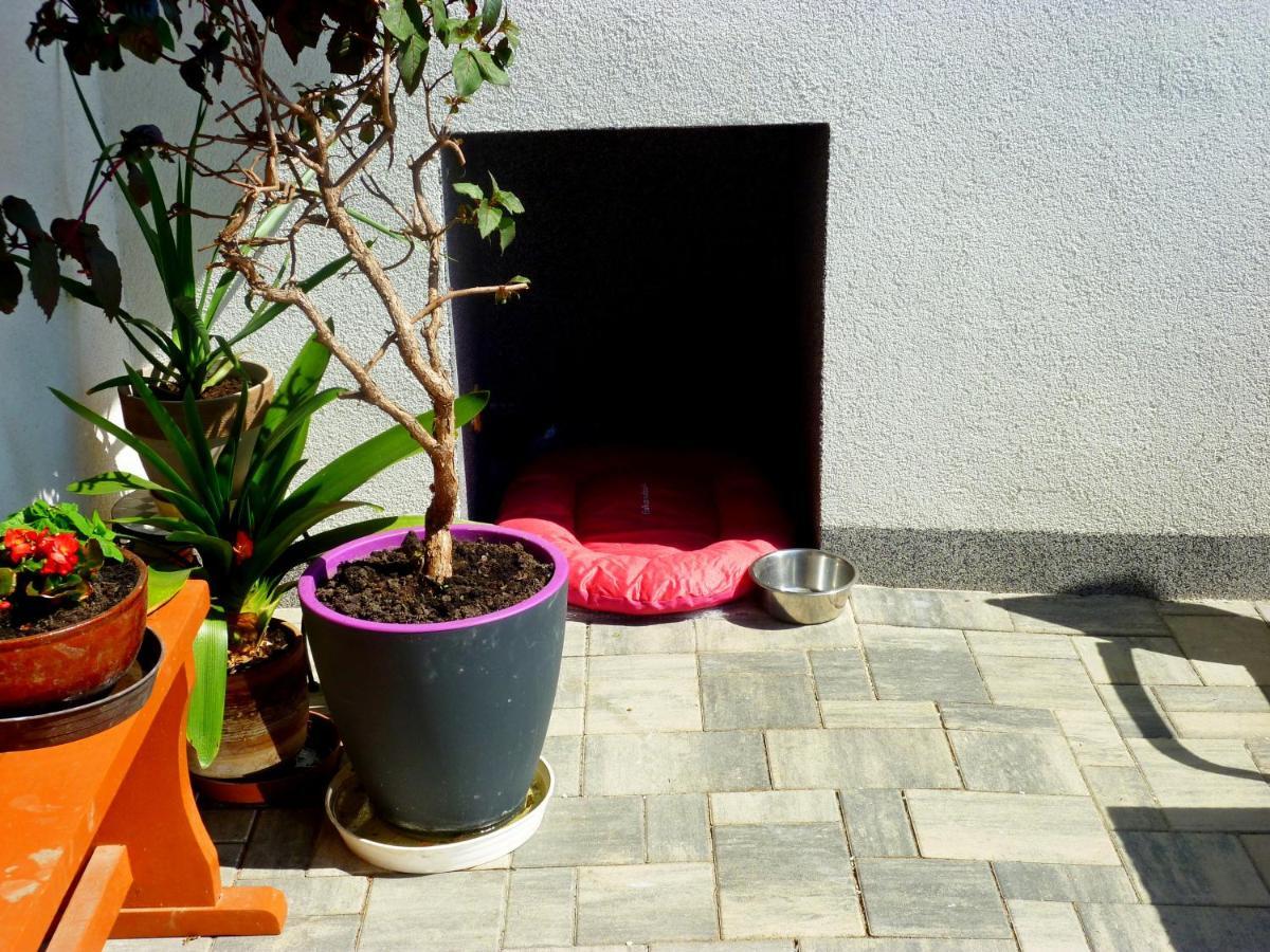 Apartman Aradise トゥルノフ エクステリア 写真